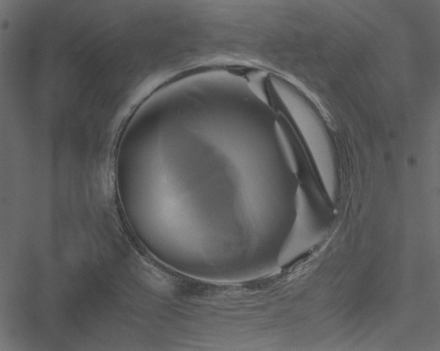 X0000051241367200506171059