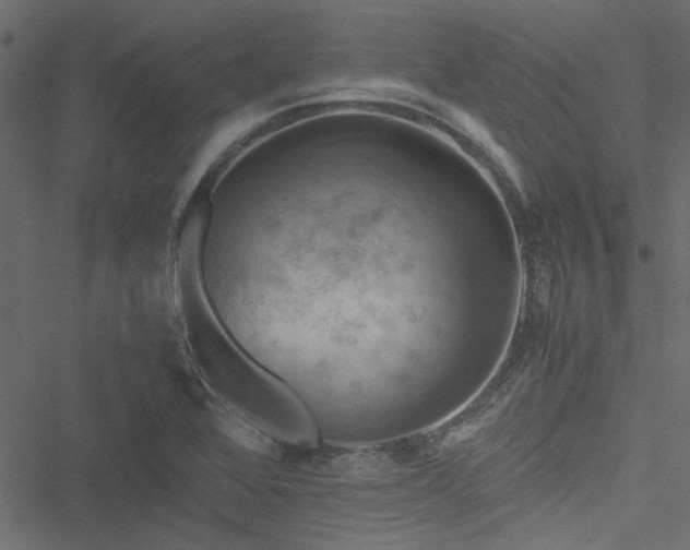 X0000051241368200506171059