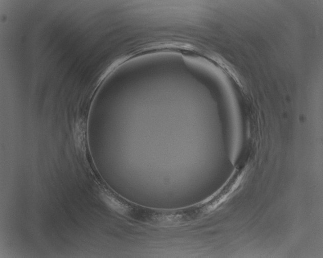 X0000051241369200506171059