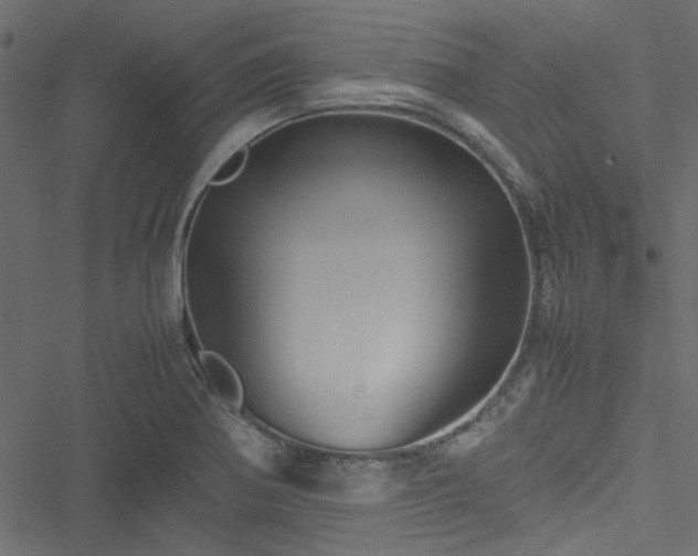 X0000051241370200506171059