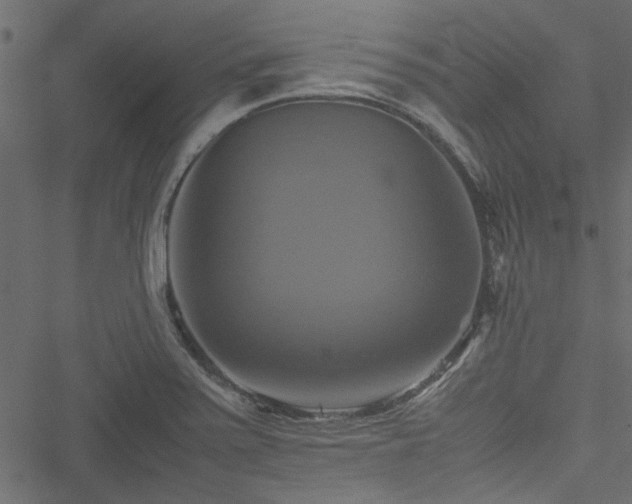 X0000051241371200506171059