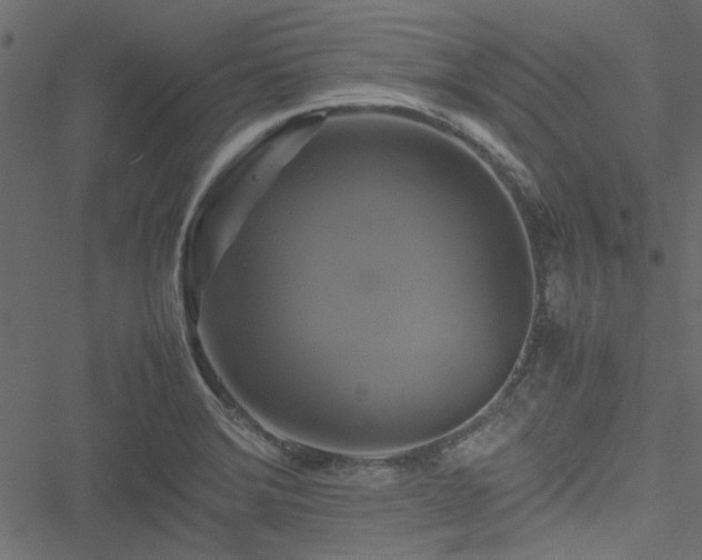 X0000051241372200506171059