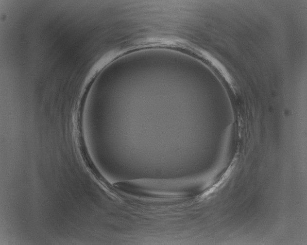 X0000051241373200506171059