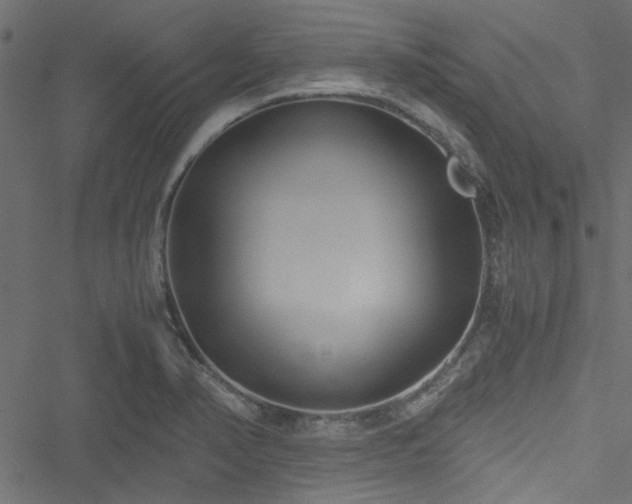 X0000051241374200506171059