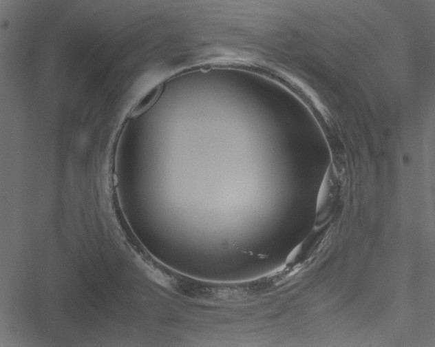 X0000051241375200506171059