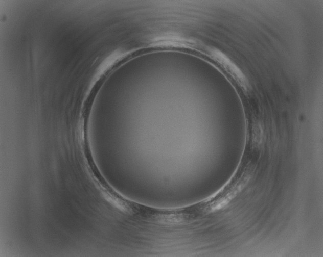 X0000051241376200506171059