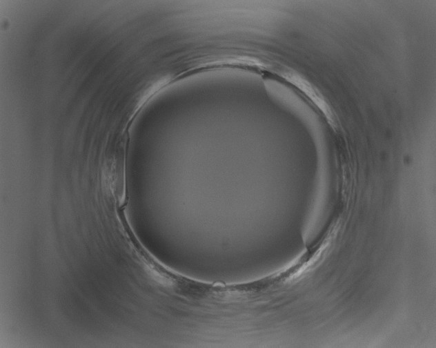 X0000051241377200506171059