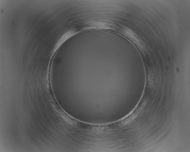 X0000051241378200506171059