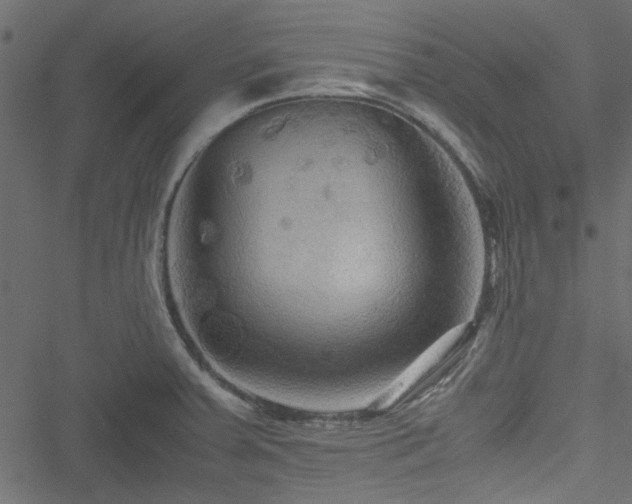 X0000051241379200506171059