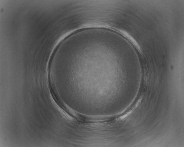 X0000051241380200506171059