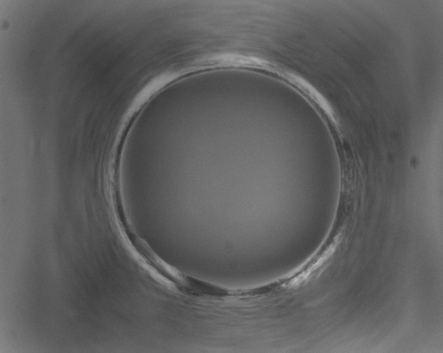 X0000051241381200506171059