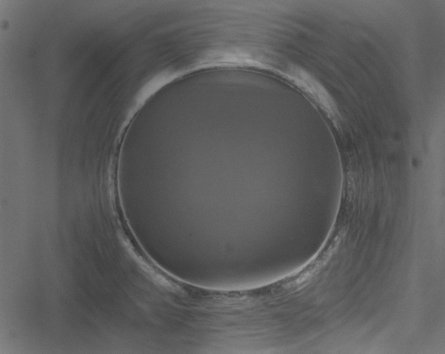 X0000051241382200506171059