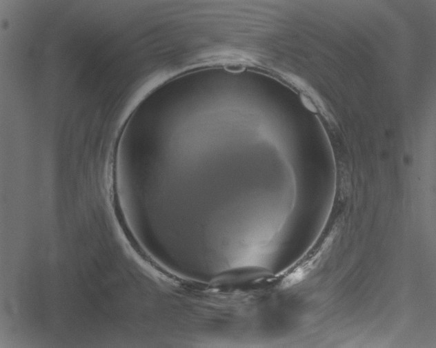 X0000051241383200506171059