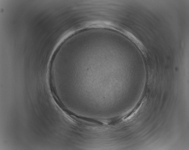 X0000051241384200506171059