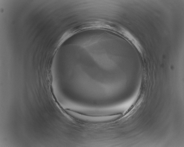 X0000051241385200506171059