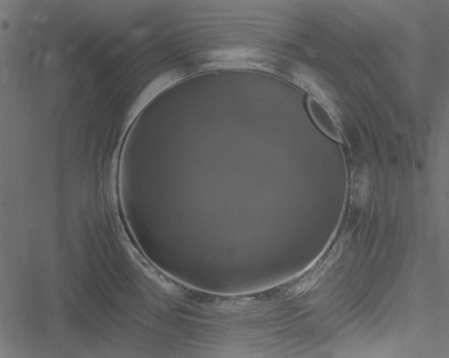 X0000051241386200506171059