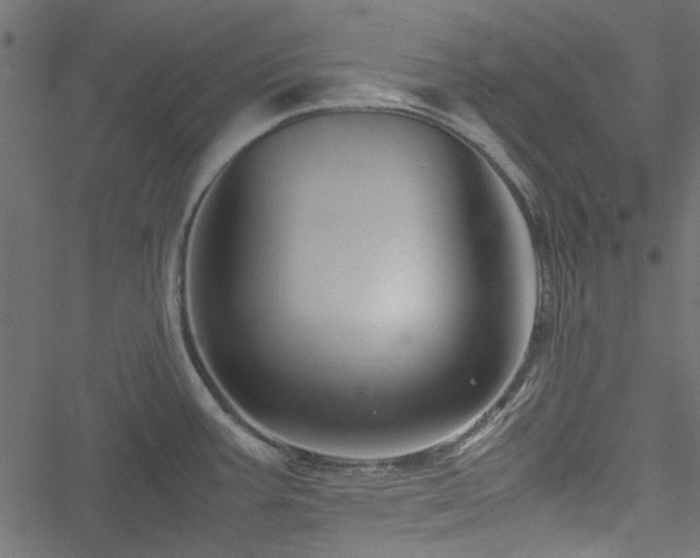 X0000051241387200506171059