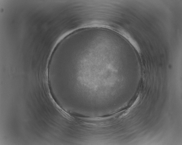 X0000051241388200506171059