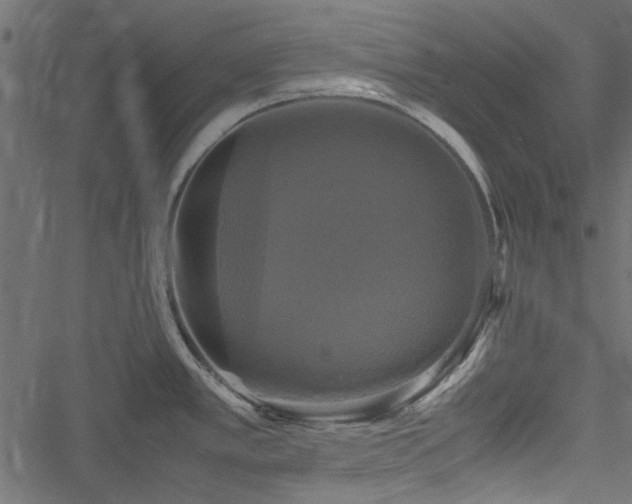 X0000051241389200506171059