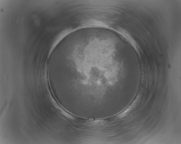 X0000051241390200506171059