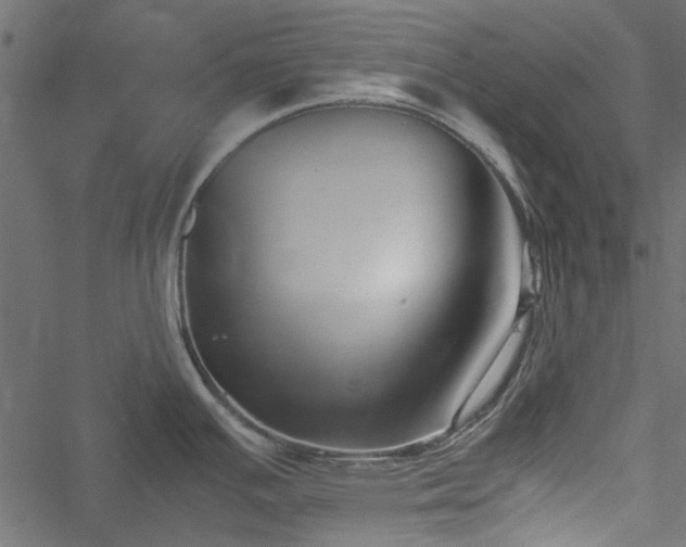 X0000051241391200506171059