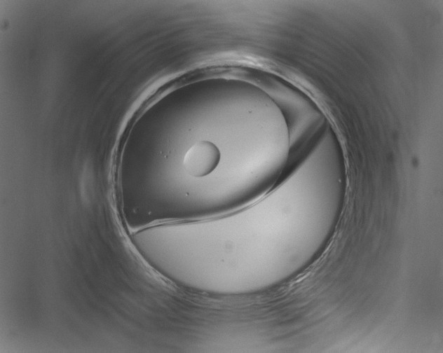 X0000051241392200506171059