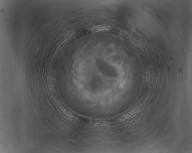 X0000051241393200506171058