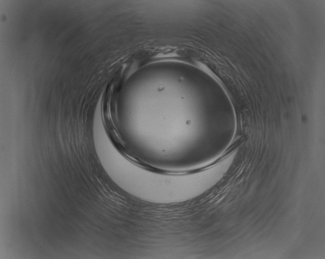 X0000051241394200506171058