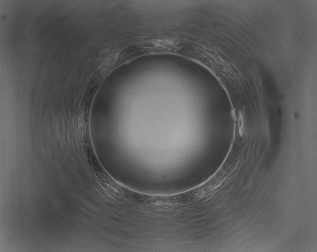 X0000051241395200506171058