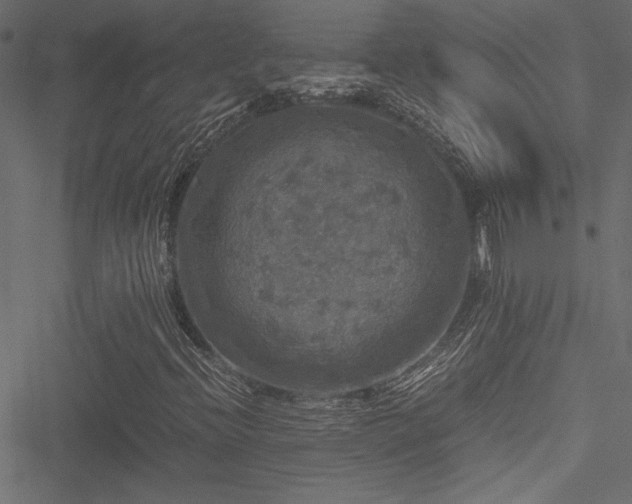 X0000051241396200506171058