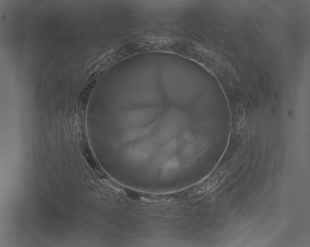 X0000051241397200506171058