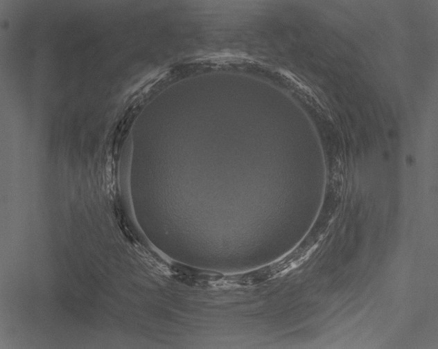 X0000051241398200506171058