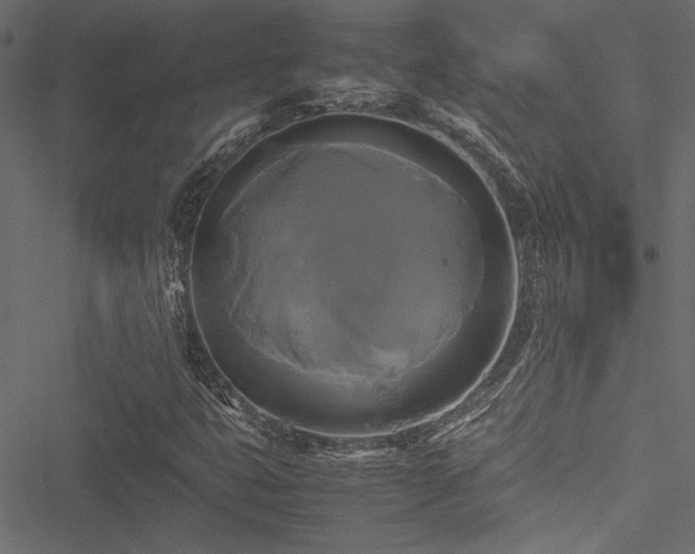 X0000051241399200506171058