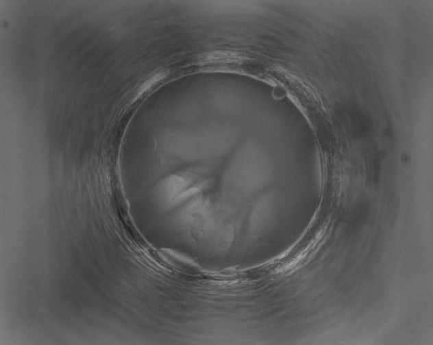 X0000051241401200506171058