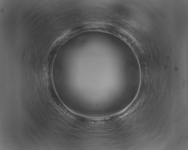 X0000051241403200506171058