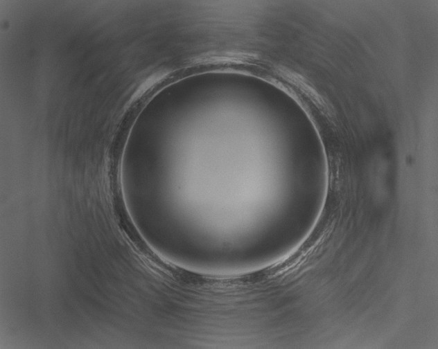 X0000051241404200506171058