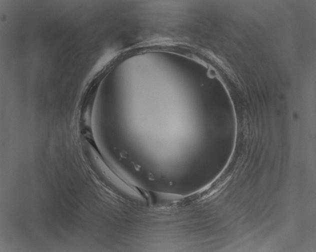 X0000051241406200506171058