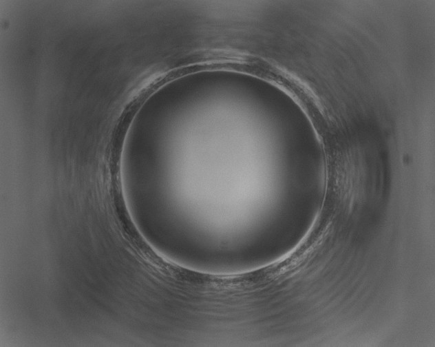 X0000051241407200506171058