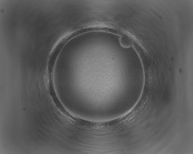 X0000051241408200506171058