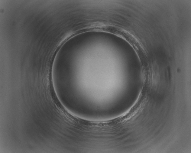 X0000051241409200506171058