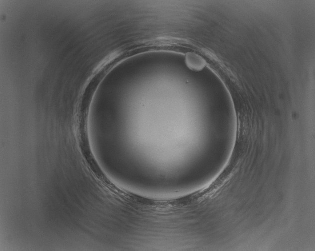 X0000051241410200506171058