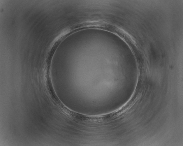 X0000051241411200506171058