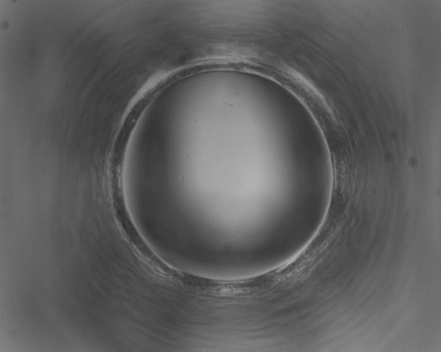 X0000051241412200506171058