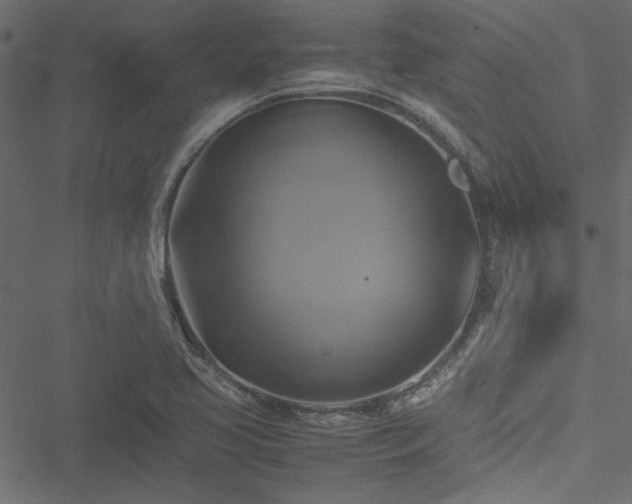 X0000051241413200506171058