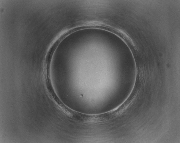 X0000051241414200506171059