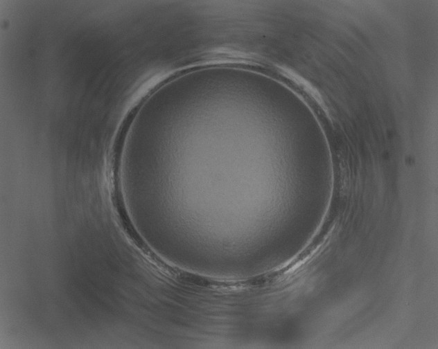 X0000051241415200506171059