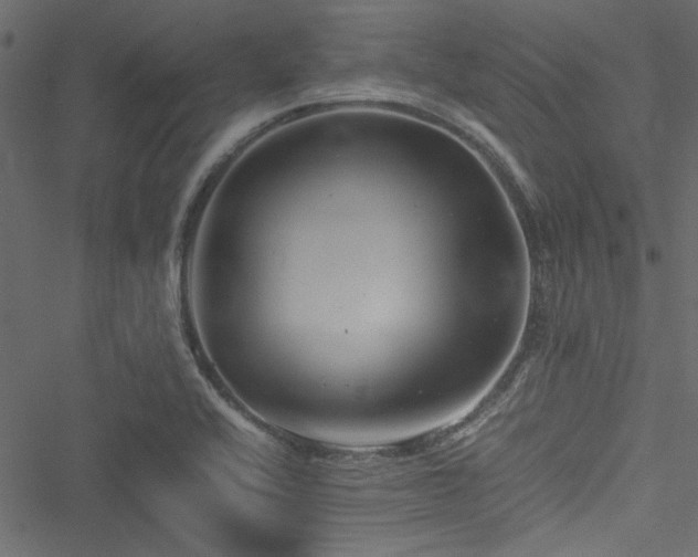 X0000051241416200506171059