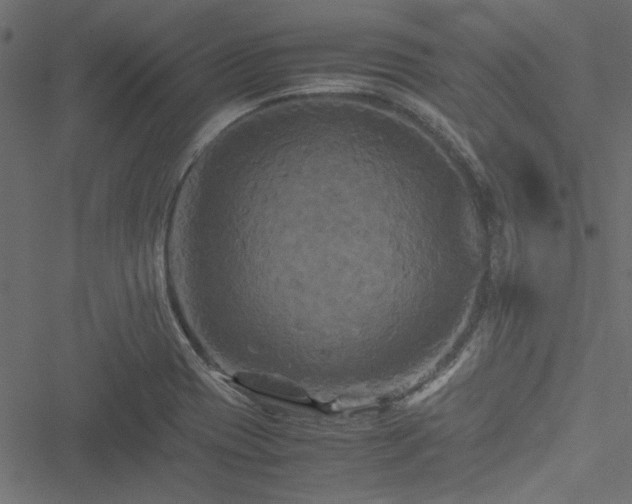 X0000051241417200506171059