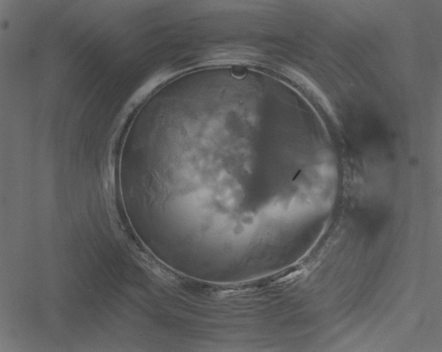 X0000051241419200506171059