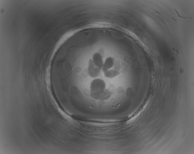 X0000051241421200506171059